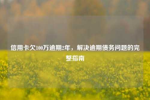 信用卡欠100万逾期2年，解决逾期债务问题的完整指南