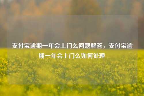 支付宝逾期一年会上门么问题解答，支付宝逾期一年会上门么如何处理