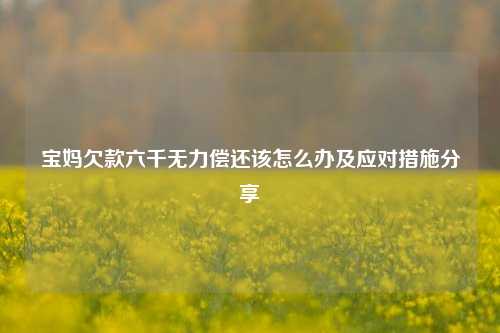 宝妈欠款六千无力偿还该怎么办及应对措施分享