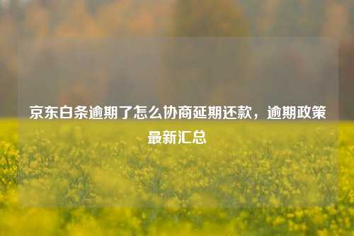 京东白条逾期了怎么协商延期还款，逾期政策最新汇总