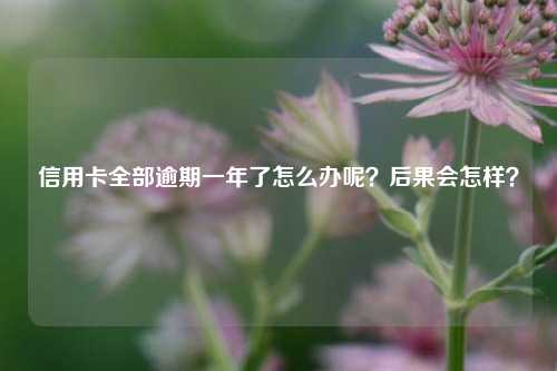 信用卡全部逾期一年了怎么办呢？后果会怎样？