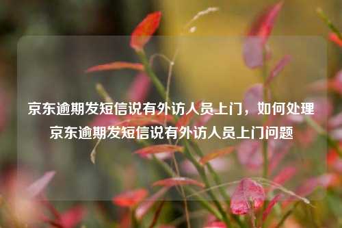 京东逾期发短信说有外访人员上门，如何处理京东逾期发短信说有外访人员上门问题