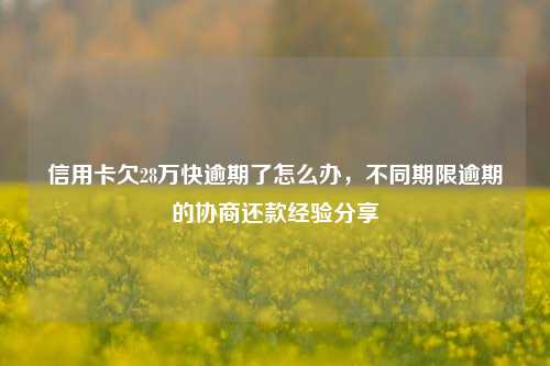 信用卡欠28万快逾期了怎么办，不同期限逾期的协商还款经验分享