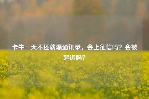 卡牛一天不还就爆通讯录，会上征信吗？会被起诉吗？