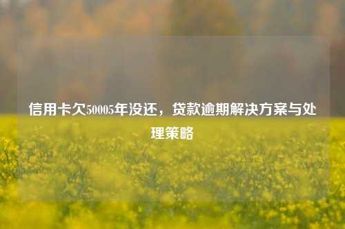 信用卡欠50005年没还，贷款逾期解决方案与处理策略