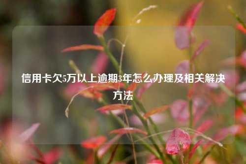 信用卡欠5万以上逾期3年怎么办理及相关解决方法