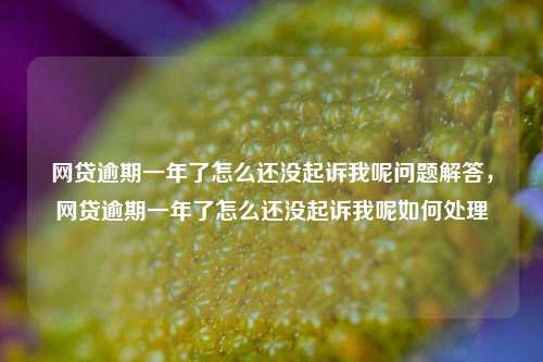 网贷逾期一年了怎么还没起诉我呢问题解答，网贷逾期一年了怎么还没起诉我呢如何处理