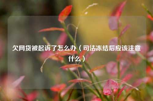 欠网贷被起诉了怎么办（司法冻结后应该注意什么）