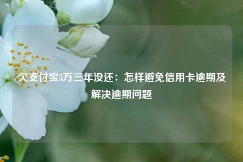 欠支付宝5万三年没还：怎样避免信用卡逾期及解决逾期问题