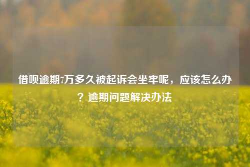 借呗逾期7万多久被起诉会坐牢呢，应该怎么办？逾期问题解决办法