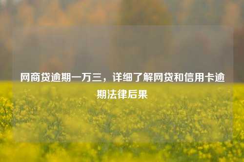 网商贷逾期一万三，详细了解网贷和信用卡逾期法律后果