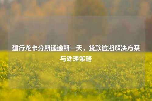 建行龙卡分期通逾期一天，贷款逾期解决方案与处理策略