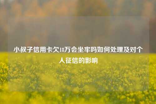 小叔子信用卡欠18万会坐牢吗如何处理及对个人征信的影响