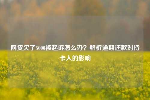 网贷欠了5000被起诉怎么办？解析逾期还款对持卡人的影响