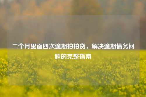 二个月里面四次逾期拍拍贷，解决逾期债务问题的完整指南