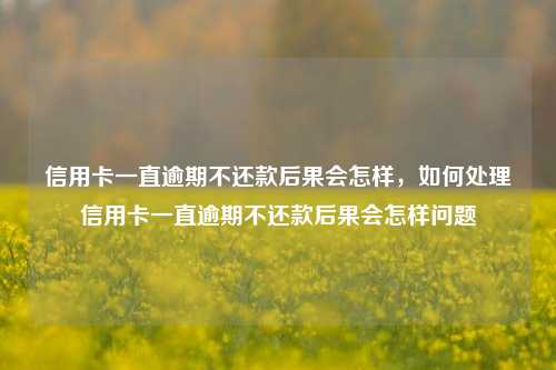 信用卡一直逾期不还款后果会怎样，如何处理信用卡一直逾期不还款后果会怎样问题