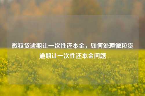 微粒贷逾期让一次性还本金，如何处理微粒贷逾期让一次性还本金问题