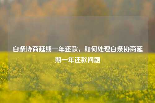 白条协商延期一年还款，如何处理白条协商延期一年还款问题