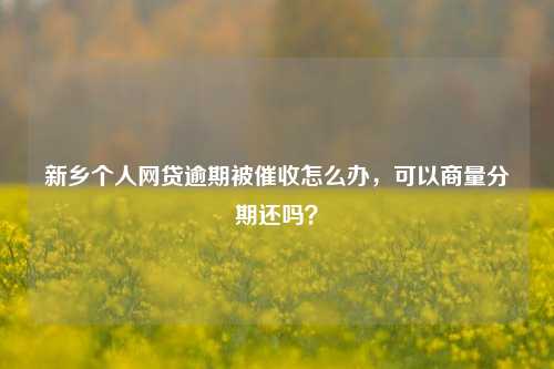 新乡个人网贷逾期被催收怎么办，可以商量分期还吗？