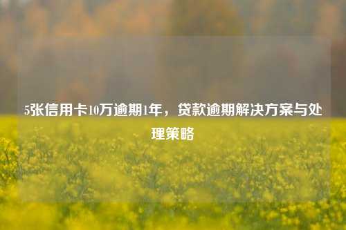 5张信用卡10万逾期1年，贷款逾期解决方案与处理策略