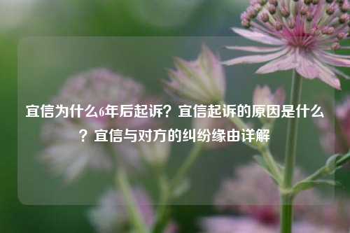 宜信为什么6年后起诉？宜信起诉的原因是什么？宜信与对方的纠纷缘由详解