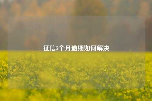 征信5个月逾期如何解决