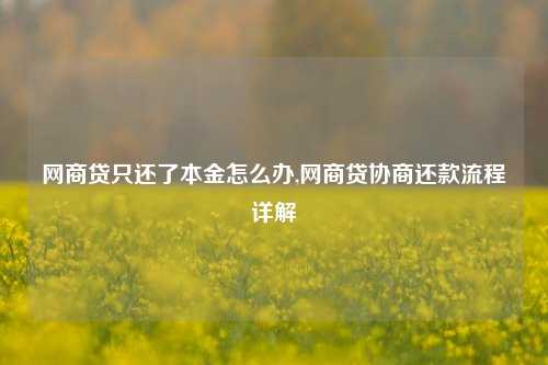 网商贷只还了本金怎么办,网商贷协商还款流程详解