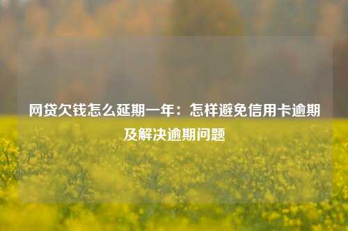 网贷欠钱怎么延期一年：怎样避免信用卡逾期及解决逾期问题