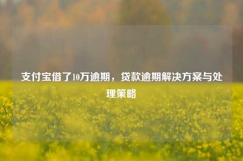 支付宝借了10万逾期，贷款逾期解决方案与处理策略