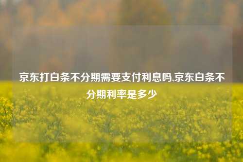 京东打白条不分期需要支付利息吗,京东白条不分期利率是多少