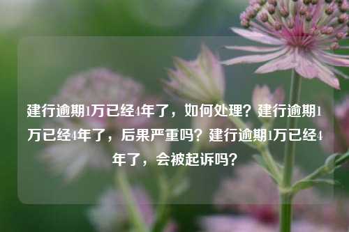 建行逾期1万已经4年了，如何处理？建行逾期1万已经4年了，后果严重吗？建行逾期1万已经4年了，会被起诉吗？