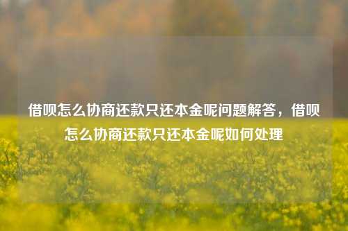 借呗怎么协商还款只还本金呢问题解答，借呗怎么协商还款只还本金呢如何处理