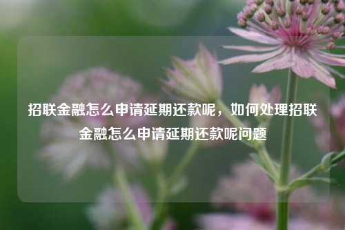 招联金融怎么申请延期还款呢，如何处理招联金融怎么申请延期还款呢问题