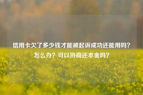 信用卡欠了多少钱才能被起诉成功还能用吗？怎么办？可以协商还本金吗？