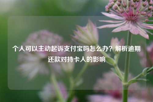 个人可以主动起诉支付宝吗怎么办？解析逾期还款对持卡人的影响