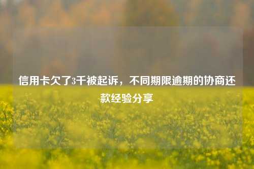 信用卡欠了3千被起诉，不同期限逾期的协商还款经验分享