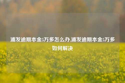 浦发逾期本金5万多怎么办,浦发逾期本金5万多如何解决