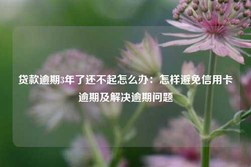 贷款逾期3年了还不起怎么办：怎样避免信用卡逾期及解决逾期问题