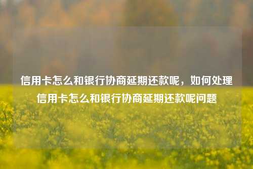 信用卡怎么和银行协商延期还款呢，如何处理信用卡怎么和银行协商延期还款呢问题