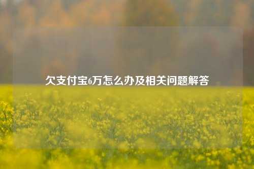 欠支付宝6万怎么办及相关问题解答