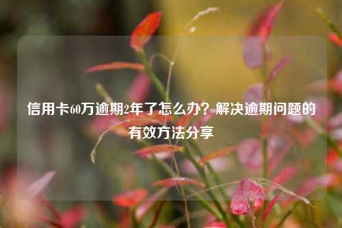 信用卡60万逾期2年了怎么办？解决逾期问题的有效方法分享