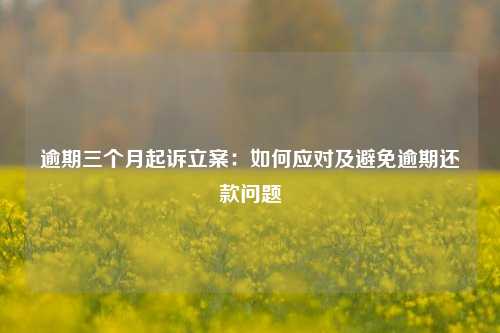 逾期三个月起诉立案：如何应对及避免逾期还款问题