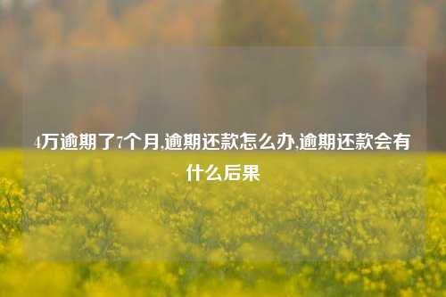 4万逾期了7个月,逾期还款怎么办,逾期还款会有什么后果