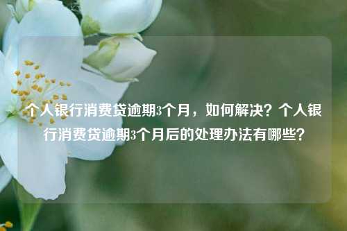 个人银行消费贷逾期3个月，如何解决？个人银行消费贷逾期3个月后的处理办法有哪些？