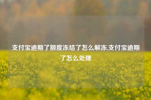 支付宝逾期了额度冻结了怎么解冻,支付宝逾期了怎么处理