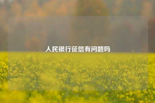 人民银行征信有问题吗