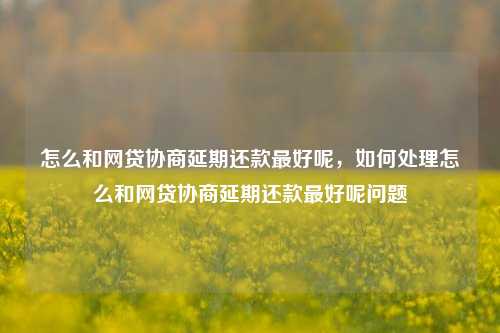 怎么和网贷协商延期还款最好呢，如何处理怎么和网贷协商延期还款最好呢问题