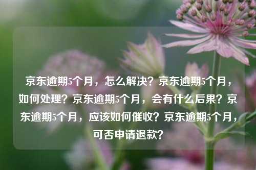 京东逾期5个月，怎么解决？京东逾期5个月，如何处理？京东逾期5个月，会有什么后果？京东逾期5个月，应该如何催收？京东逾期5个月，可否申请退款？