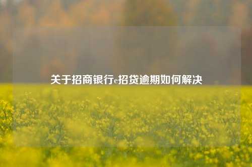 关于招商银行e招贷逾期如何解决