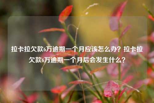 拉卡拉欠款6万逾期一个月应该怎么办？拉卡拉欠款6万逾期一个月后会发生什么？